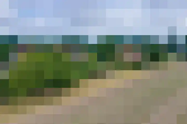 Molendijk 45 Melissant thumbnail 32