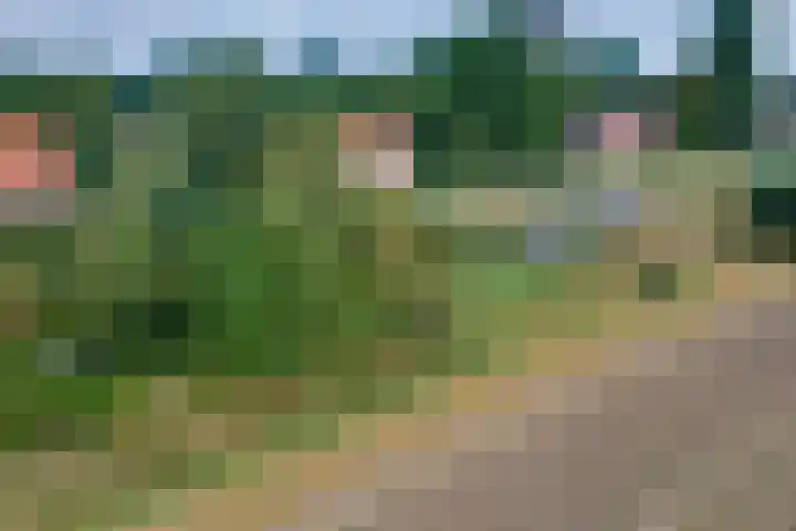 Molendijk 45 Melissant thumbnail 37