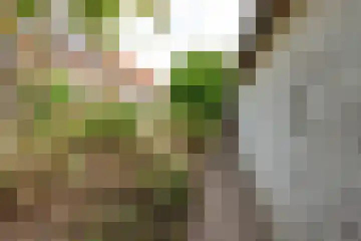 Molendijk 45 Melissant thumbnail 38