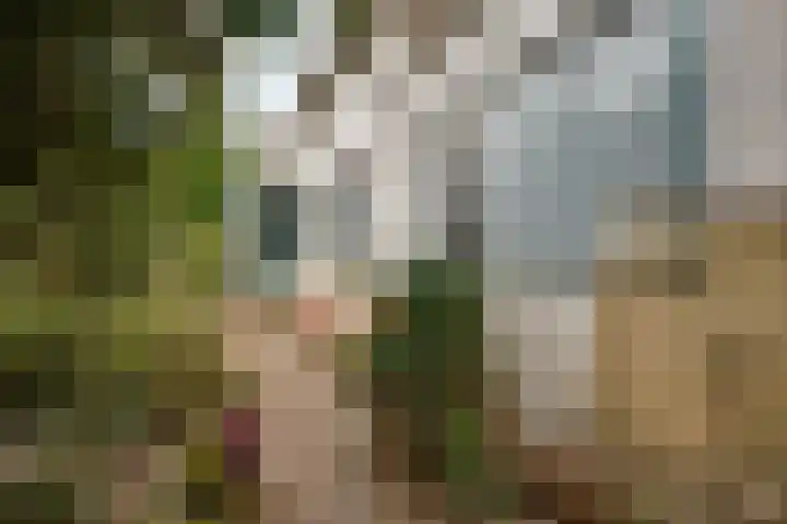 Molendijk 45 Melissant thumbnail 4