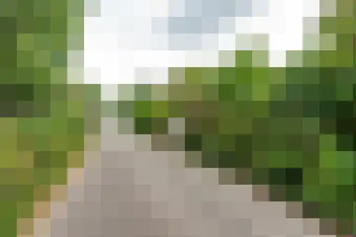 Molendijk 45 Melissant thumbnail 40