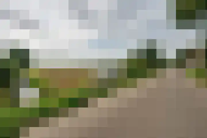 Molendijk 45 Melissant thumbnail 41