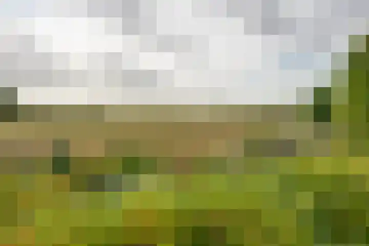 Molendijk 45 Melissant thumbnail 42