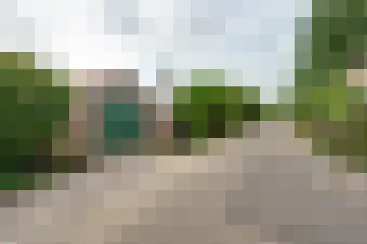 Molendijk 45 Melissant thumbnail 43