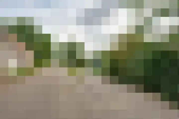 Molendijk 45 Melissant thumbnail 45