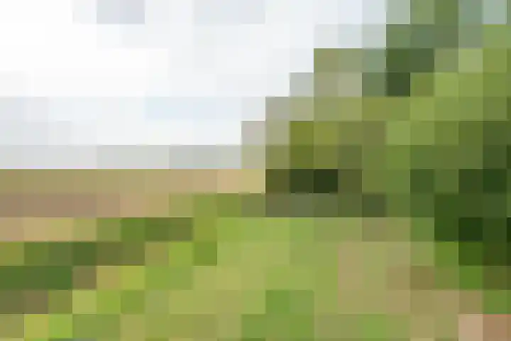 Molendijk 45 Melissant thumbnail 46