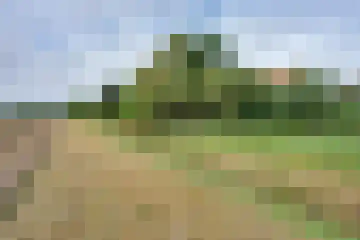Molendijk 45 Melissant thumbnail 47