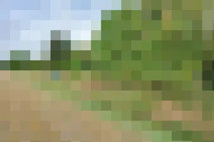 Molendijk 45 Melissant thumbnail 48