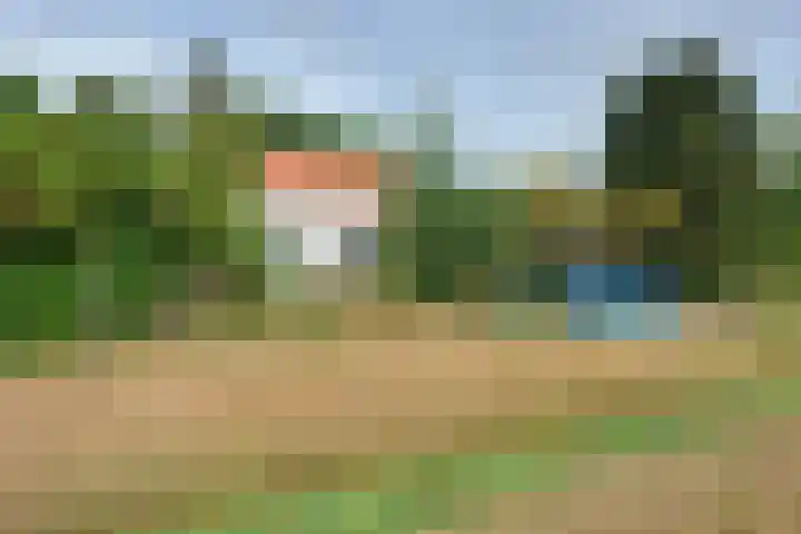 Molendijk 45 Melissant thumbnail 50