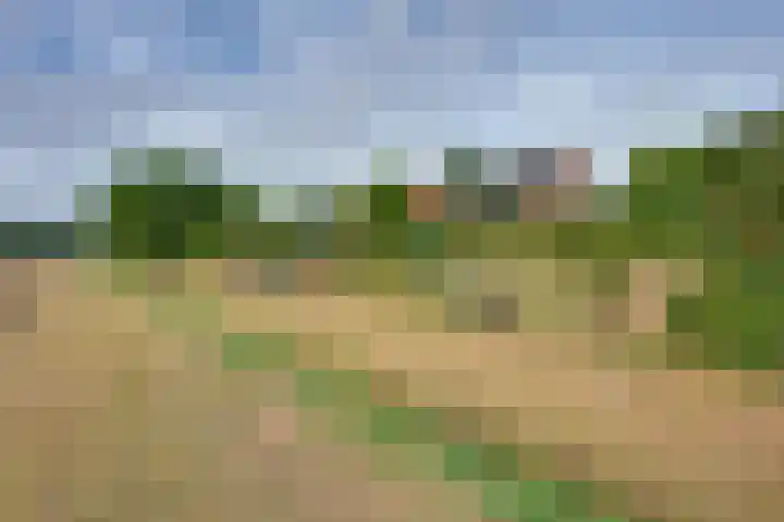 Molendijk 45 Melissant thumbnail 51