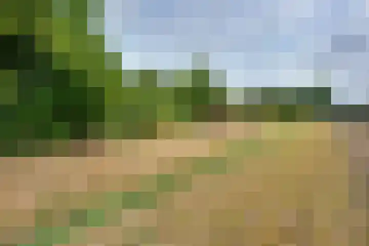 Molendijk 45 Melissant thumbnail 52