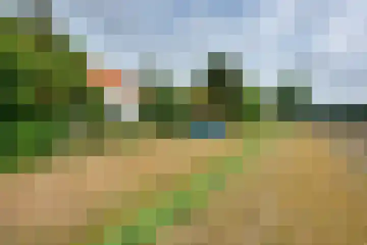 Molendijk 45 Melissant thumbnail 53