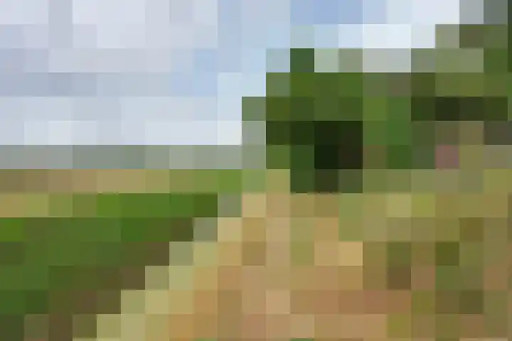 Molendijk 45 Melissant thumbnail 56