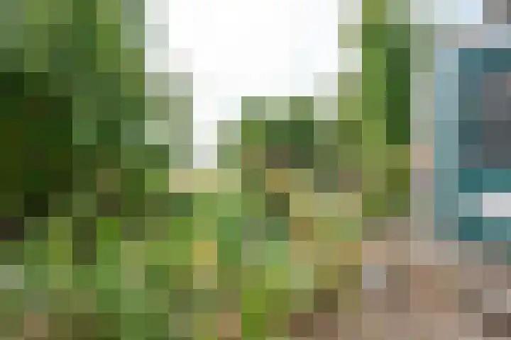 Molendijk 45 Melissant thumbnail 6