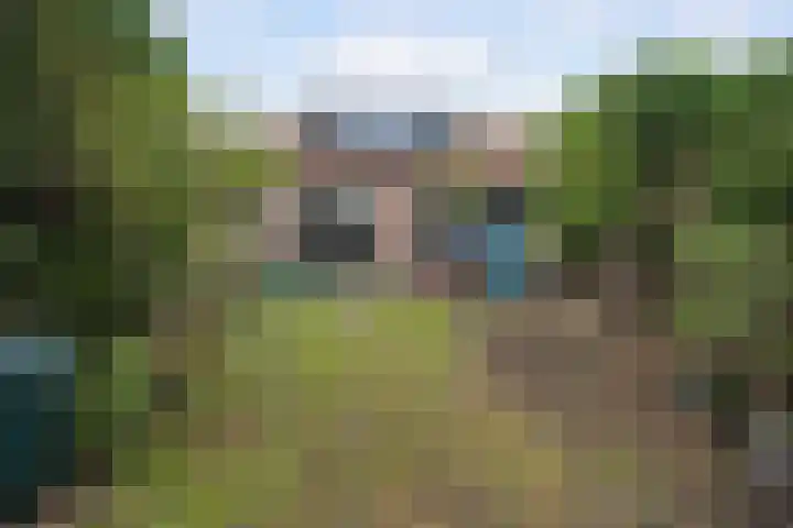 Molendijk 49 Goudswaard thumbnail 30
