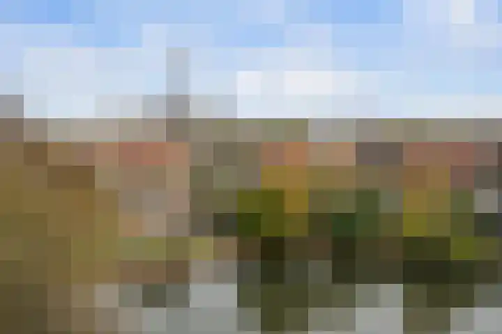 Molendijk 49 Goudswaard thumbnail 32