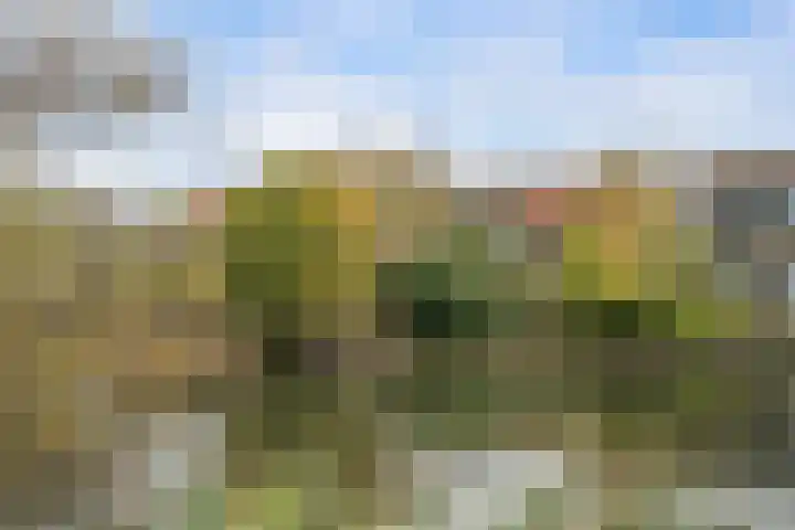 Molendijk 49 Goudswaard thumbnail 33