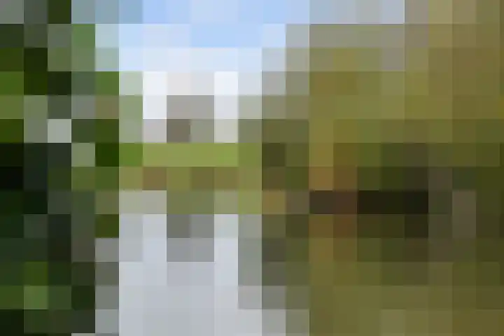 Molendijk 49 Goudswaard thumbnail 36