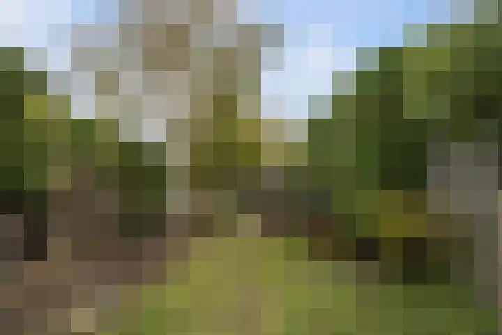 Molendijk 49 Goudswaard thumbnail 42