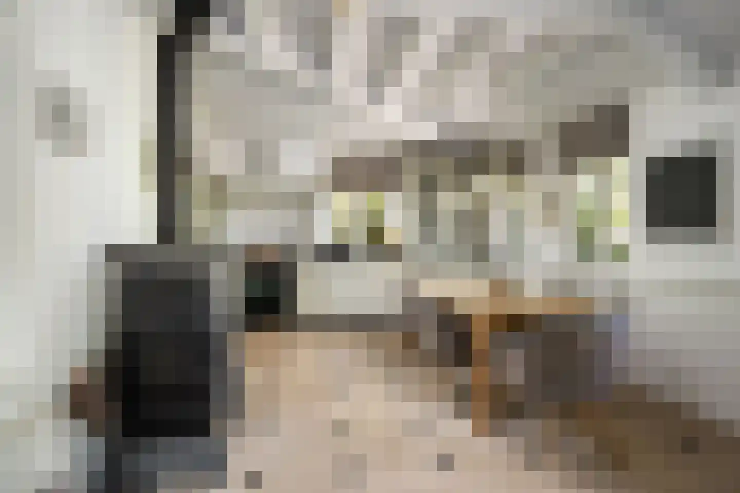 Molendijk 49 Klaaswaal thumbnail 30