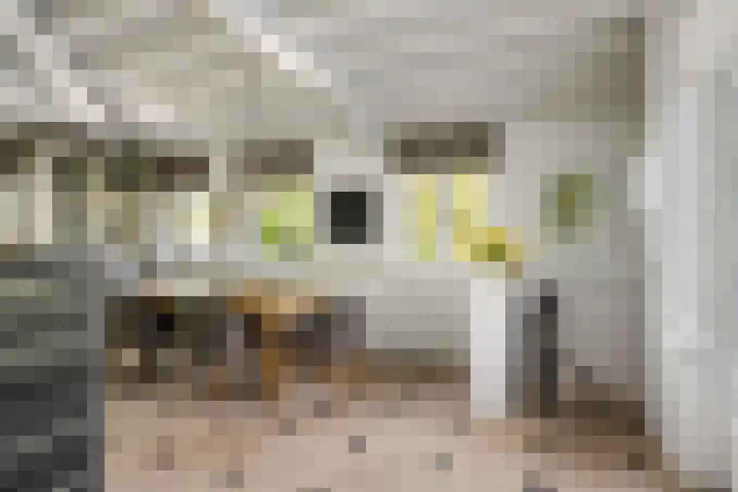 Molendijk 49 Klaaswaal thumbnail 31