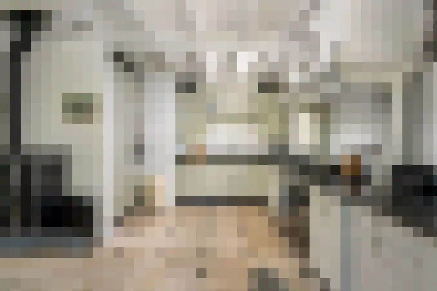Molendijk 49 Klaaswaal thumbnail 32