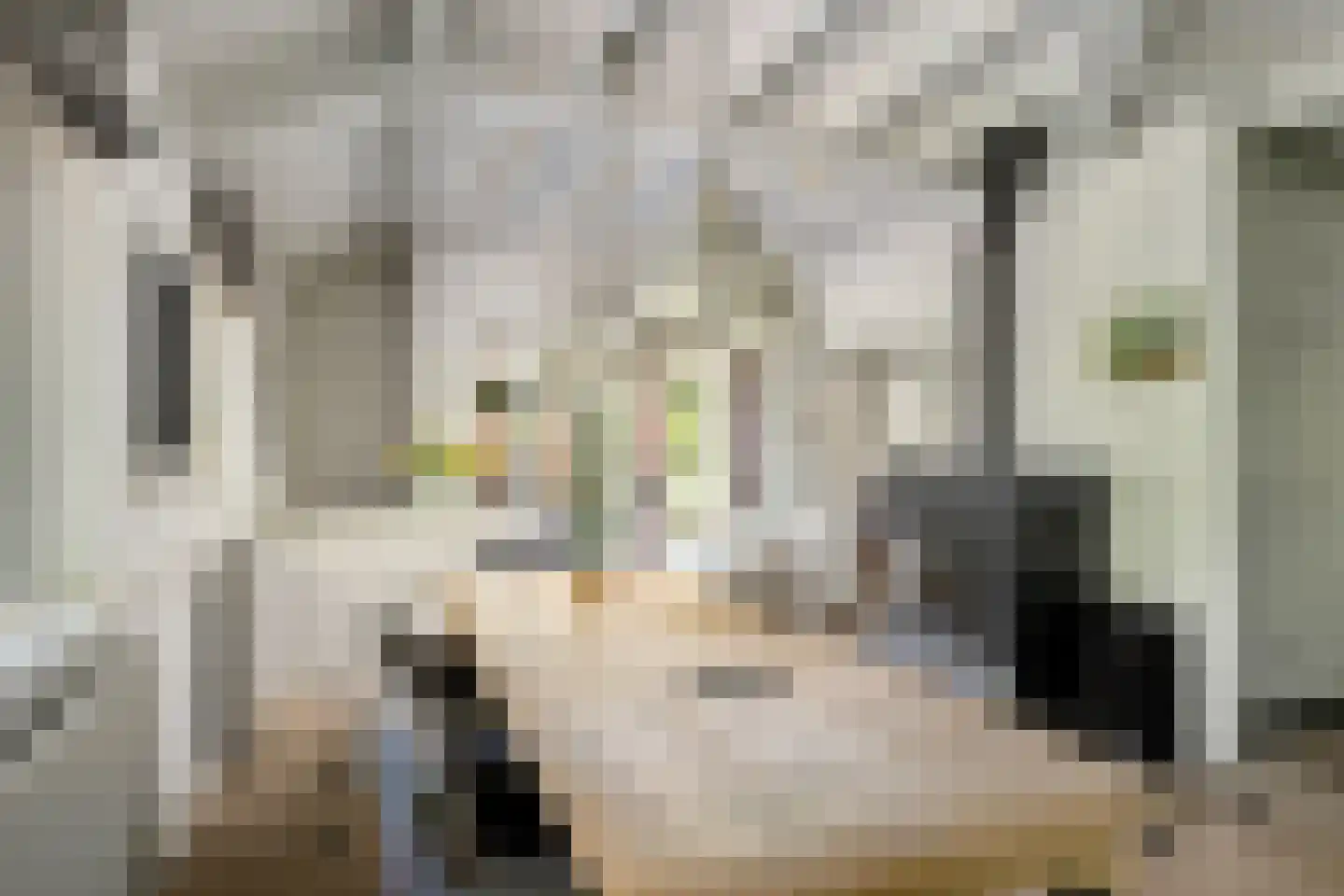 Molendijk 49 Klaaswaal thumbnail 33