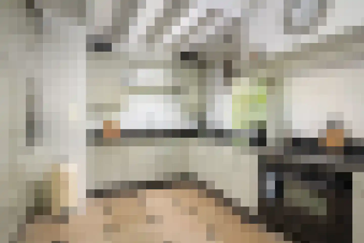 Molendijk 49 Klaaswaal thumbnail 34