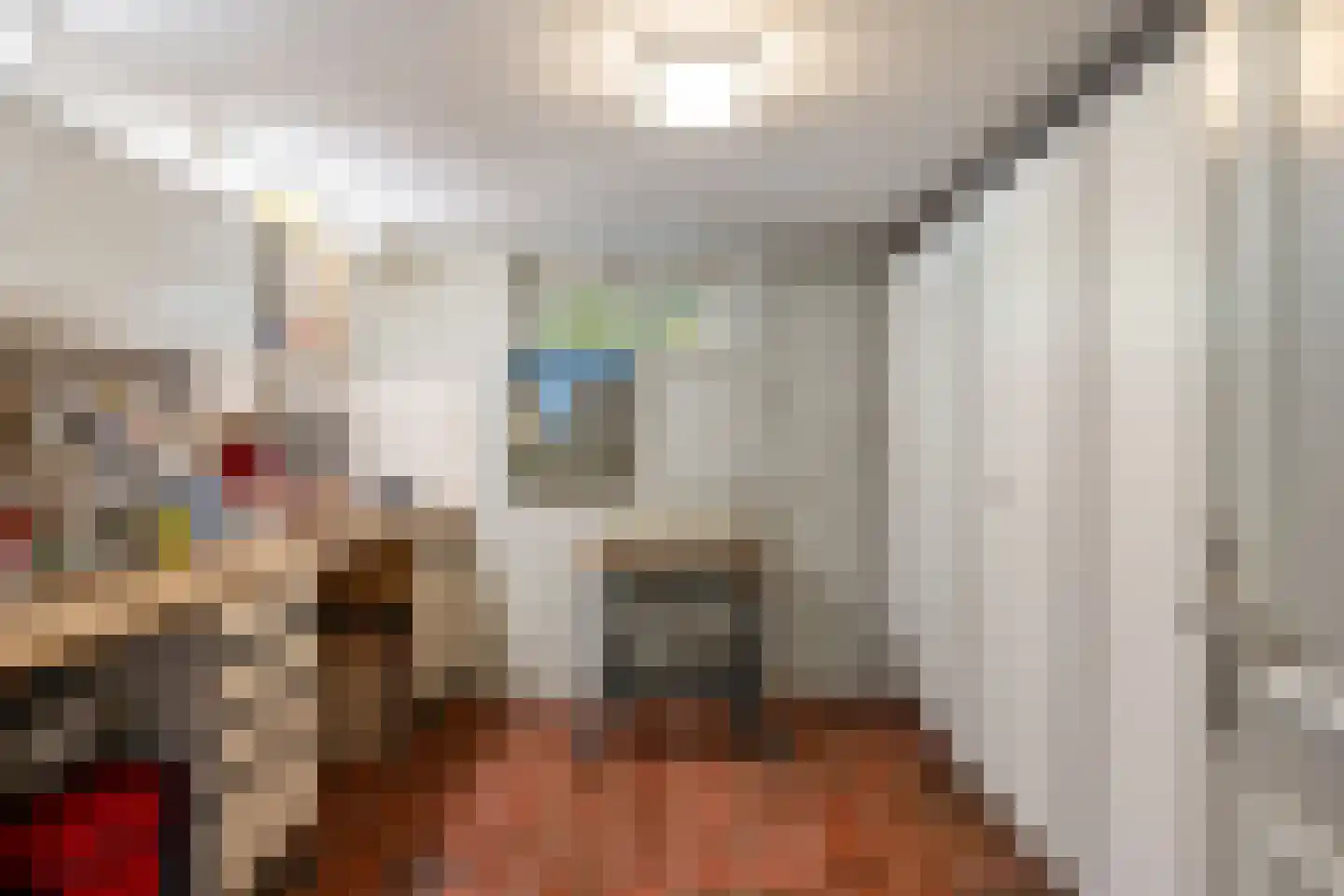 Molendijk 49 Klaaswaal thumbnail 40