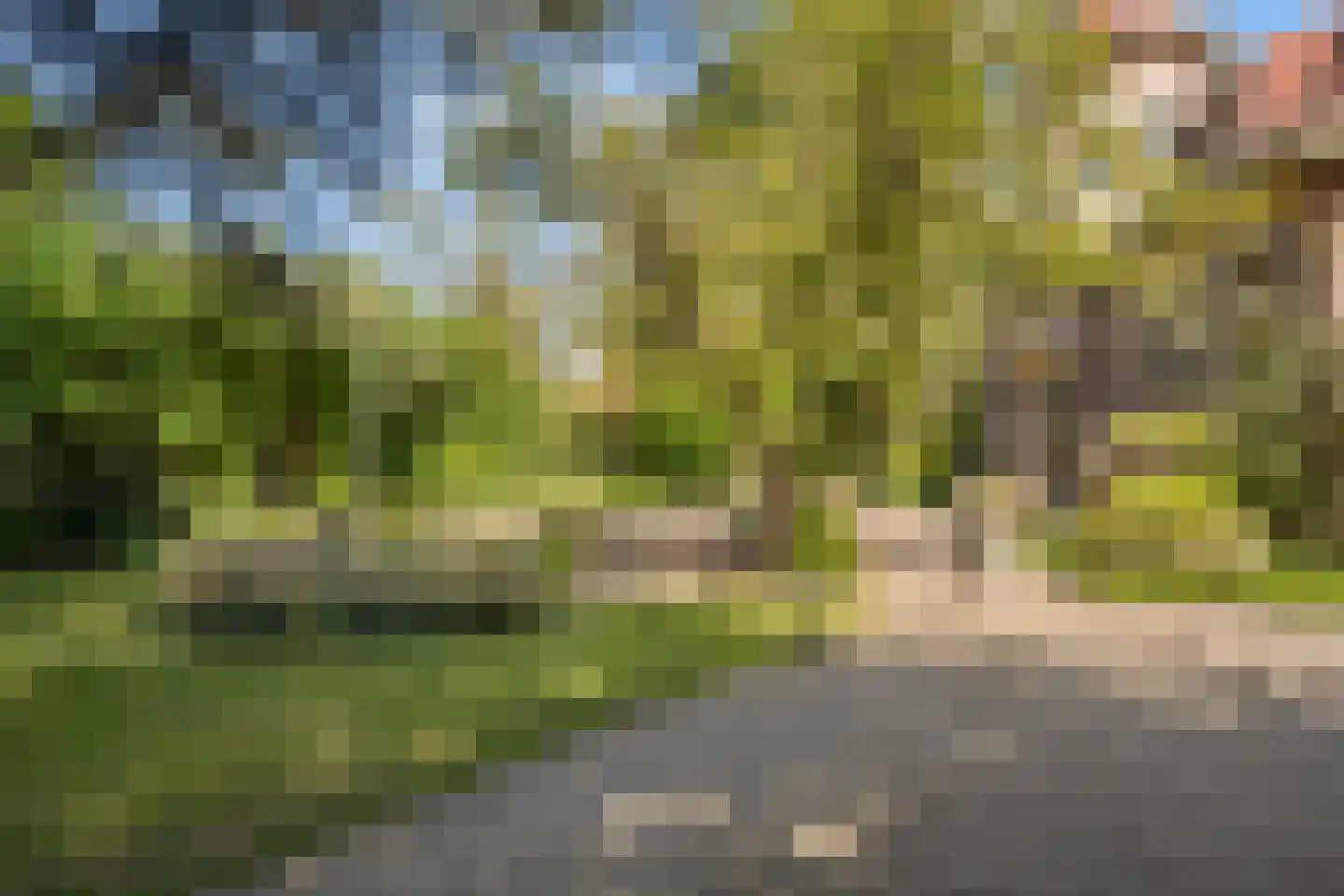 Molendijk 49 Klaaswaal thumbnail 66