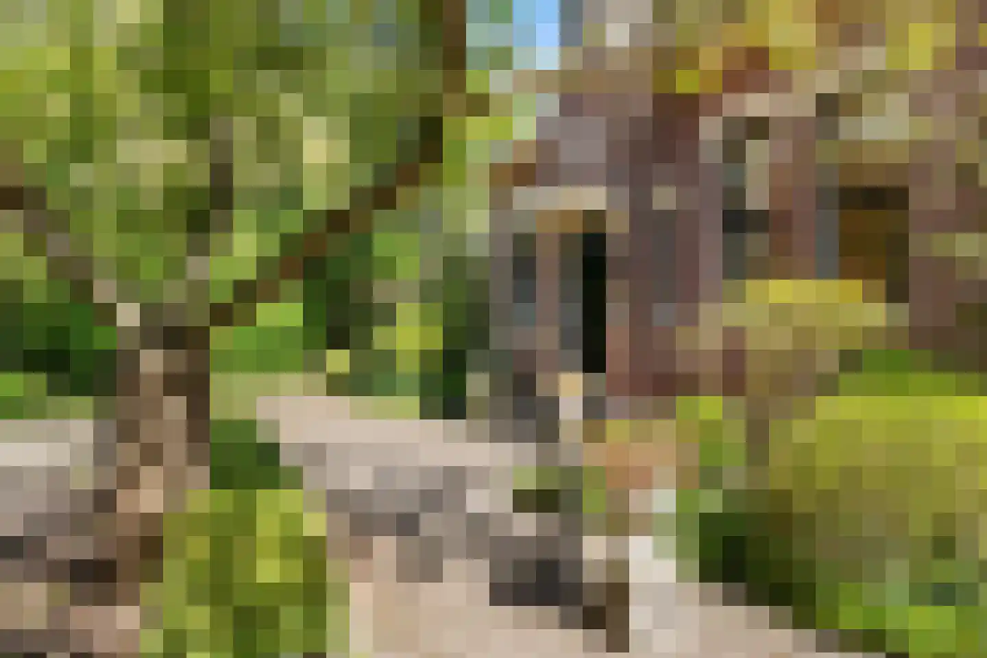 Molendijk 49 Klaaswaal thumbnail 67