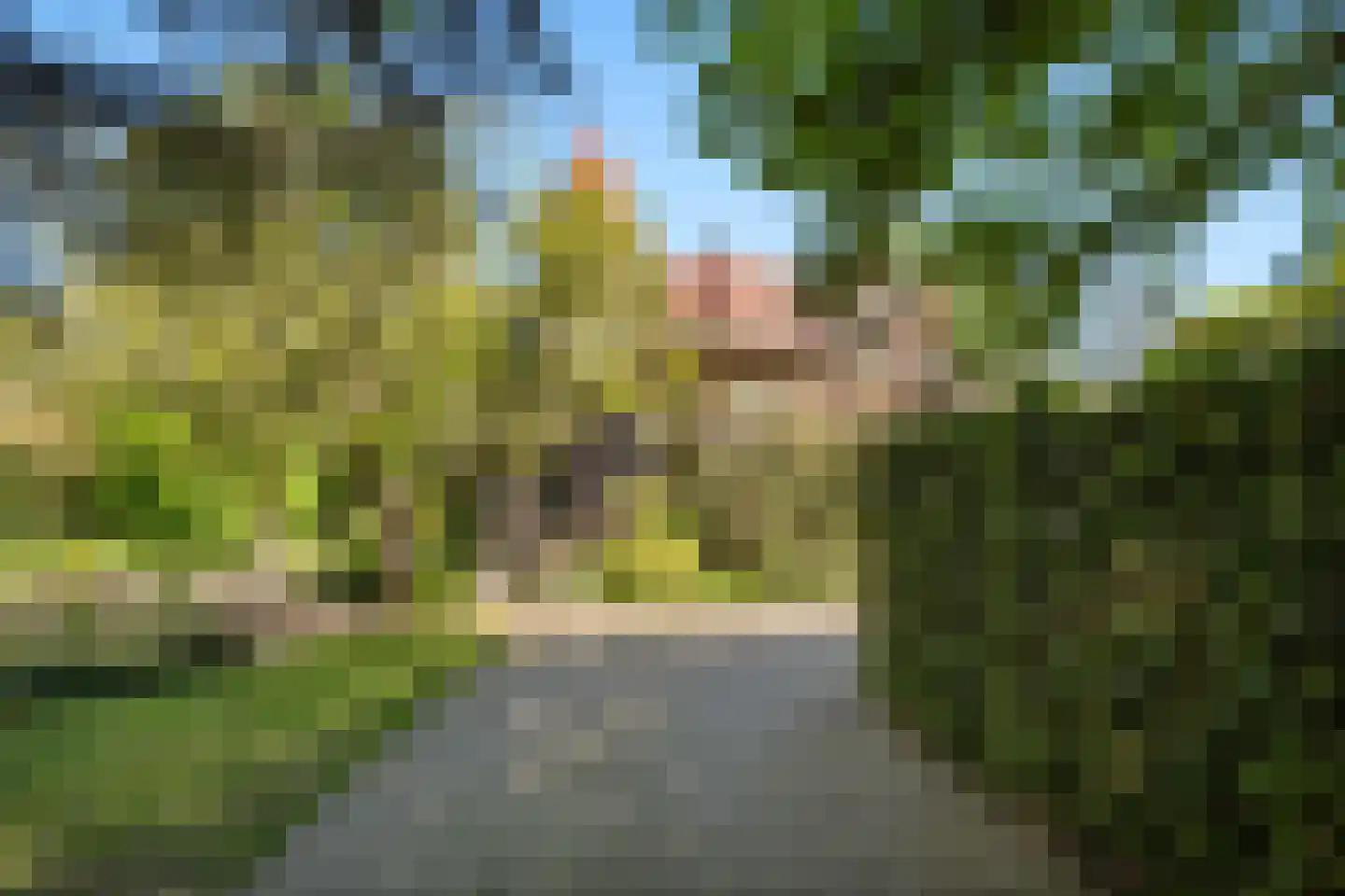 Molendijk 49 Klaaswaal thumbnail 68