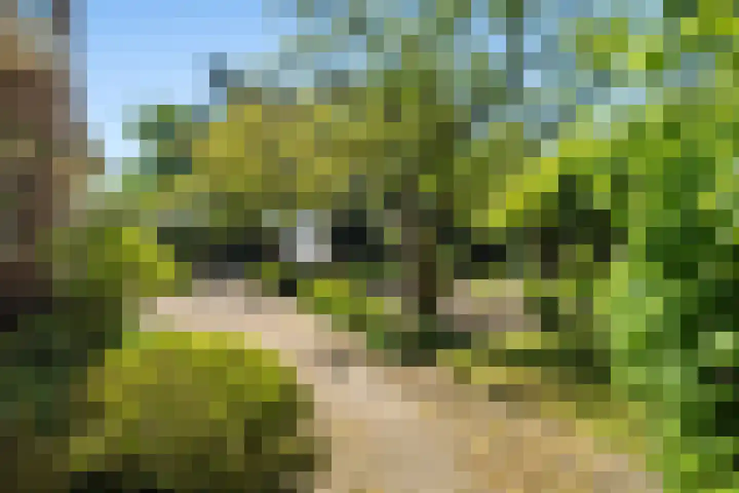 Molendijk 49 Klaaswaal thumbnail 78