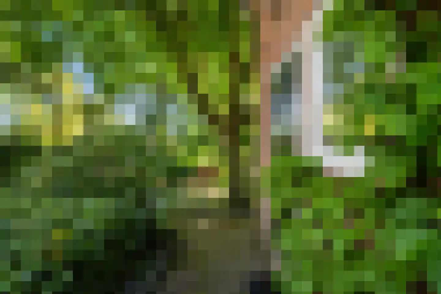 Molendijk 49 Klaaswaal thumbnail 82