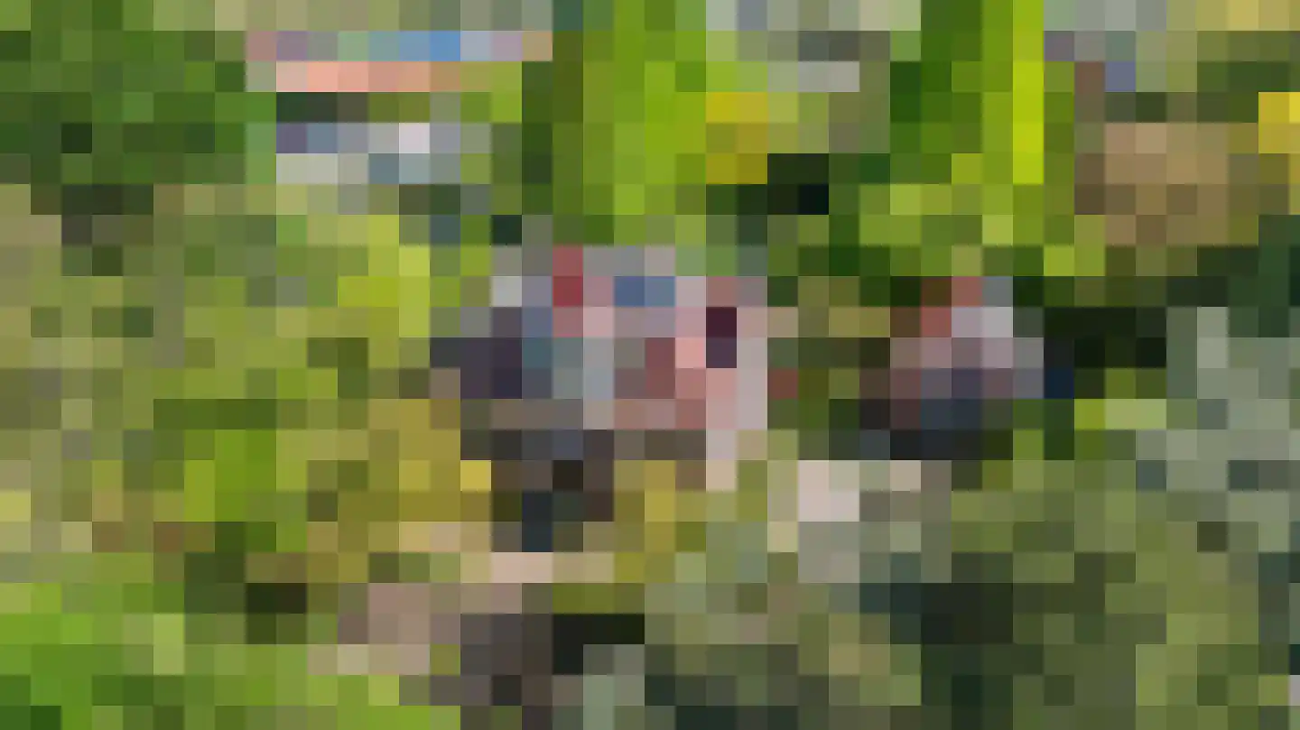 Molendijk 49 Klaaswaal thumbnail 83