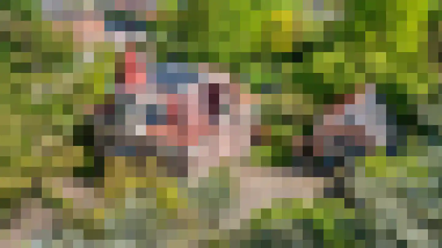 Molendijk 49 Klaaswaal thumbnail 84