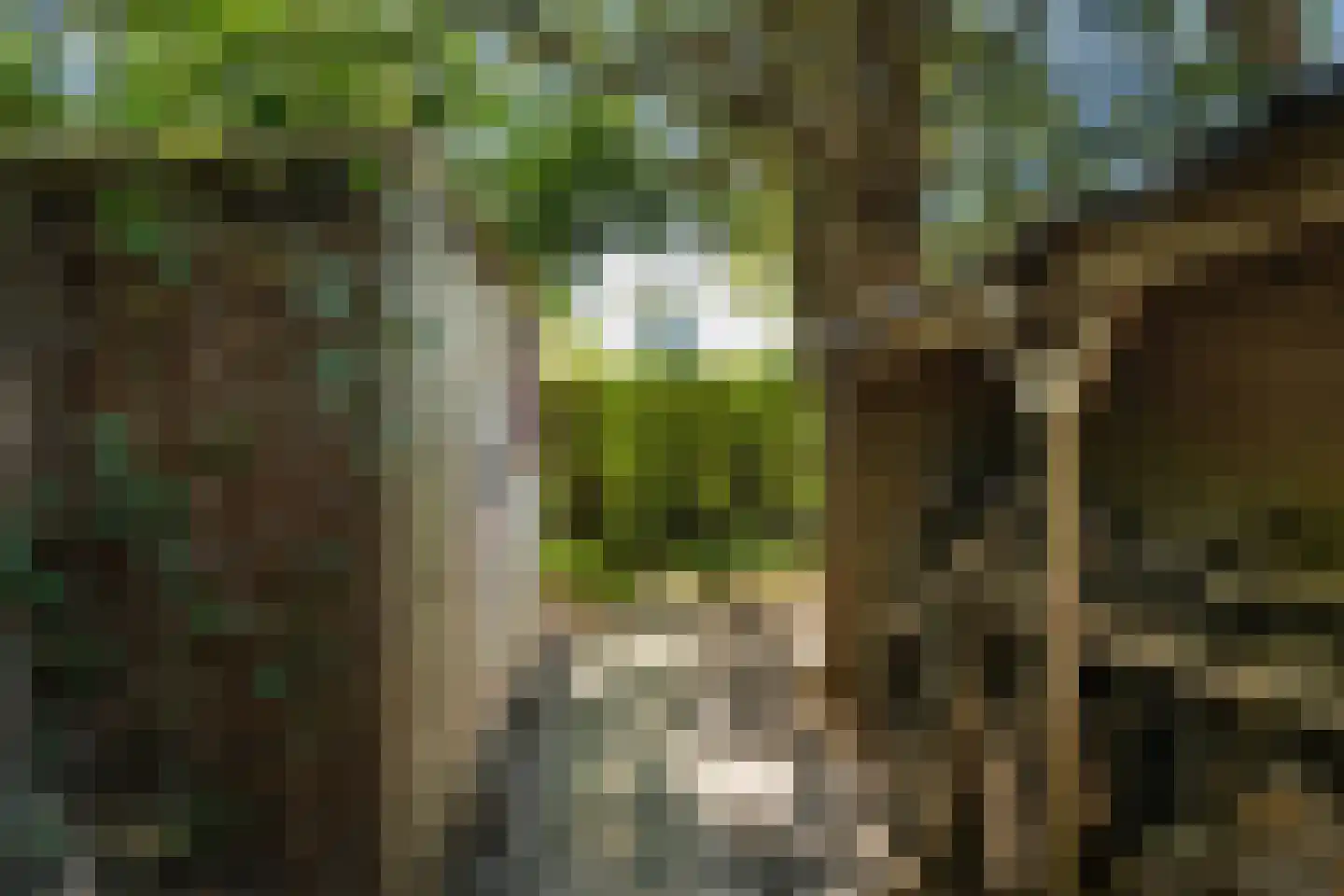 Molendijk 49 Klaaswaal thumbnail 87