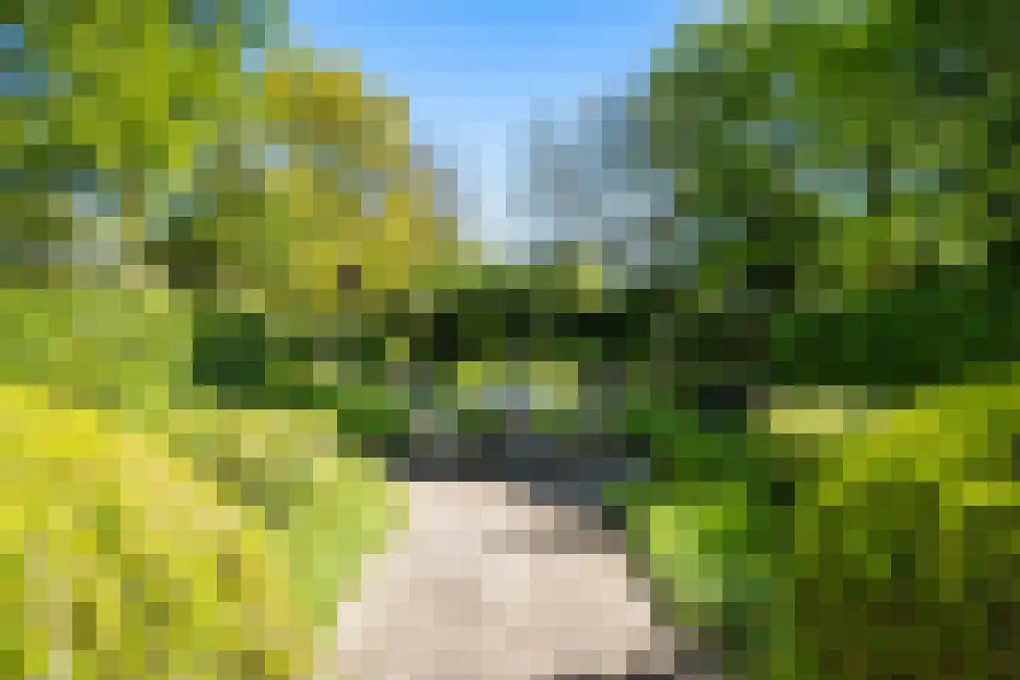 Molendijk 49 Klaaswaal thumbnail 92
