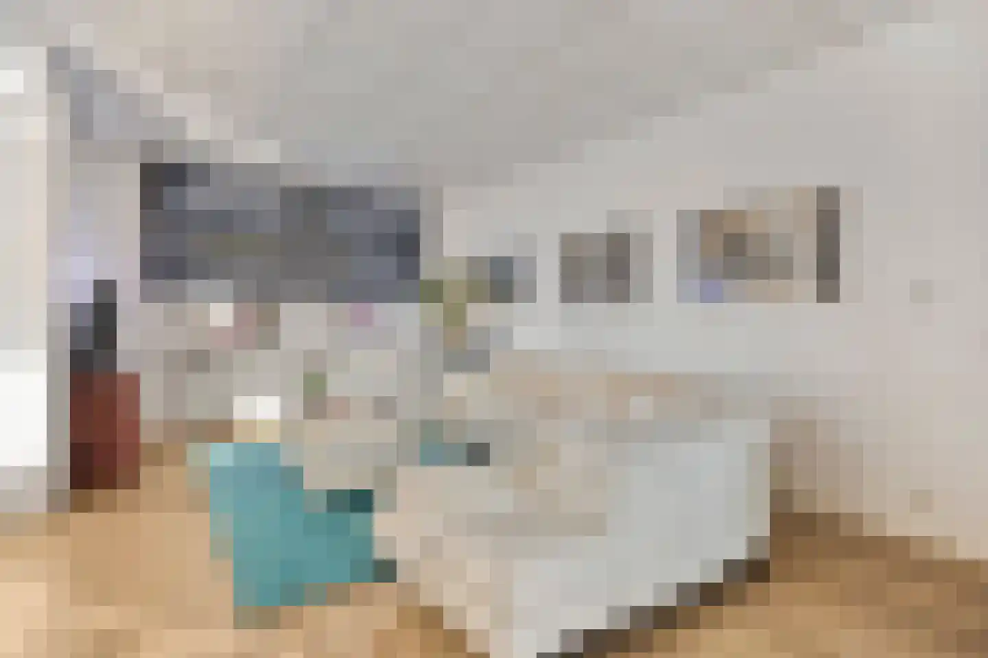 Molendijk 5 Hoek thumbnail 17