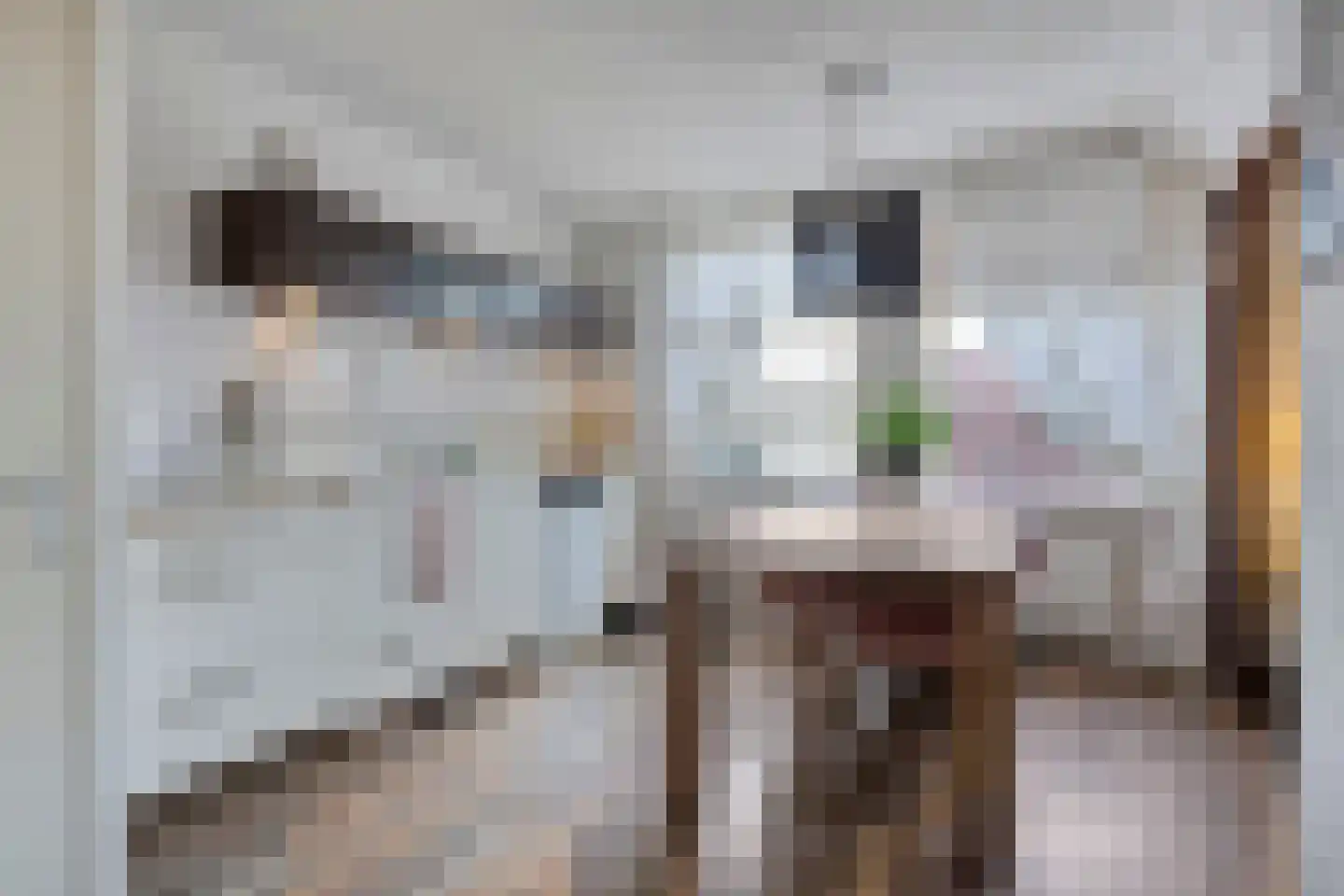 Molendijk 5 Hoek thumbnail 51