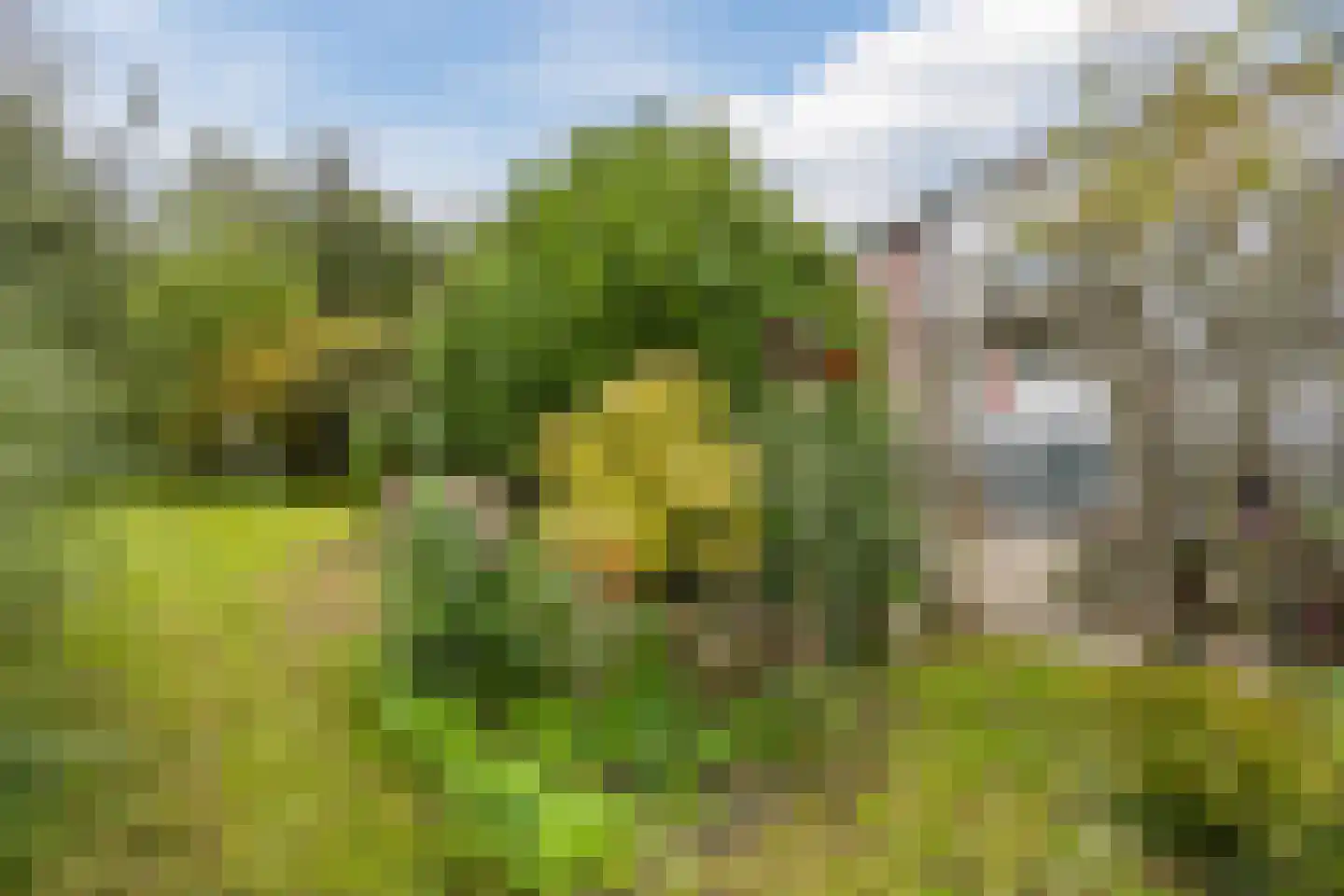 Molendijk 50 Dinteloord thumbnail 11