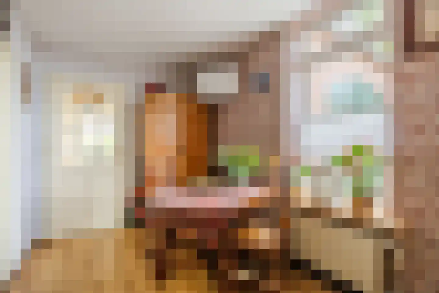 Molendijk 50 Dinteloord thumbnail 20