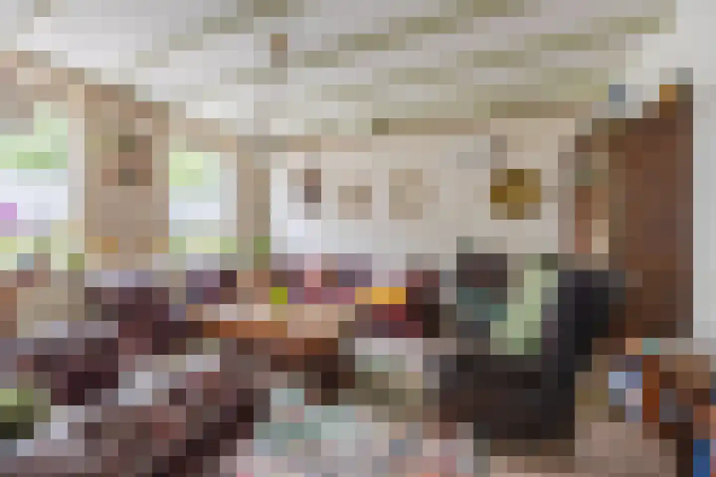 Molendijk 50 Dinteloord thumbnail 21