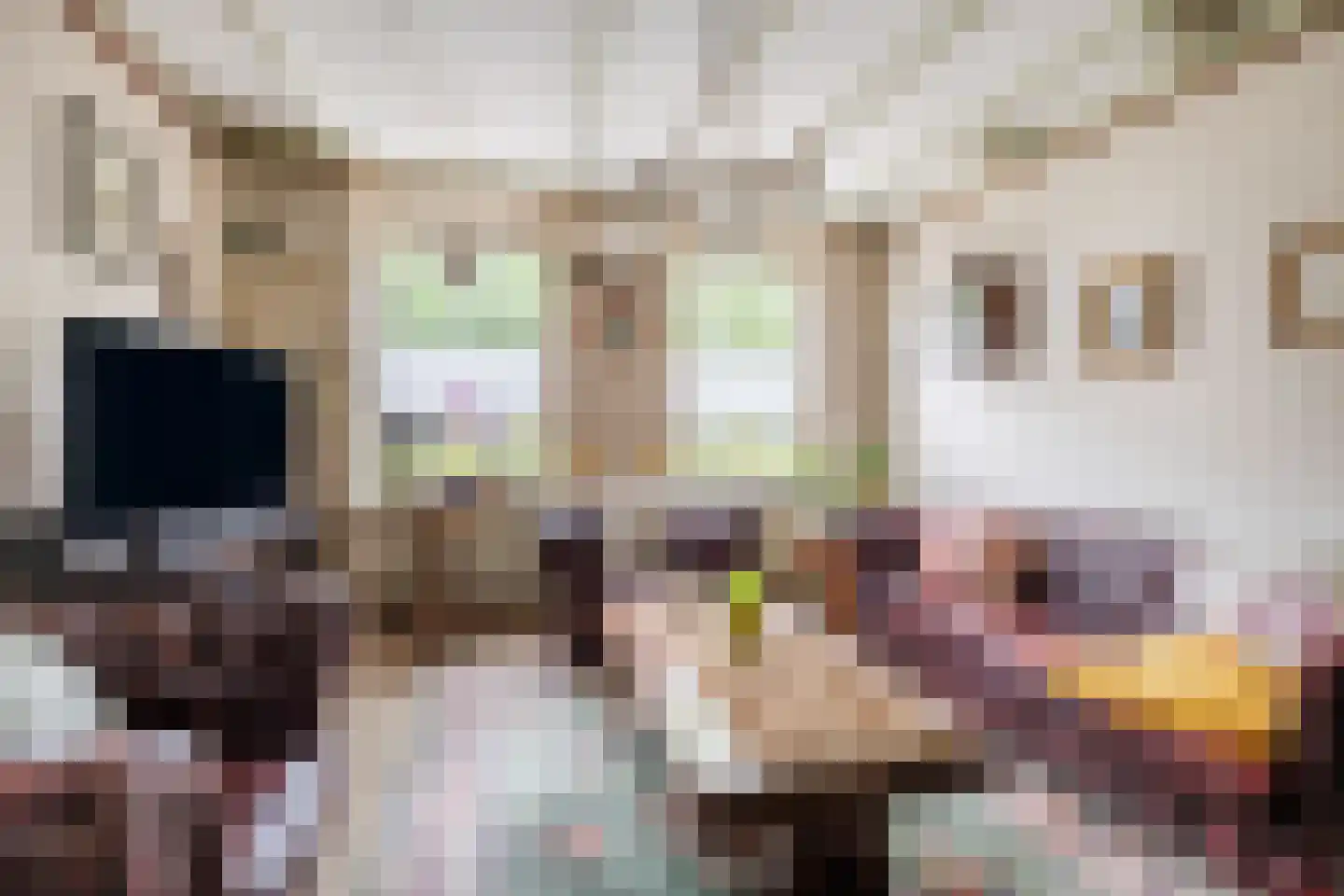 Molendijk 50 Dinteloord thumbnail 22