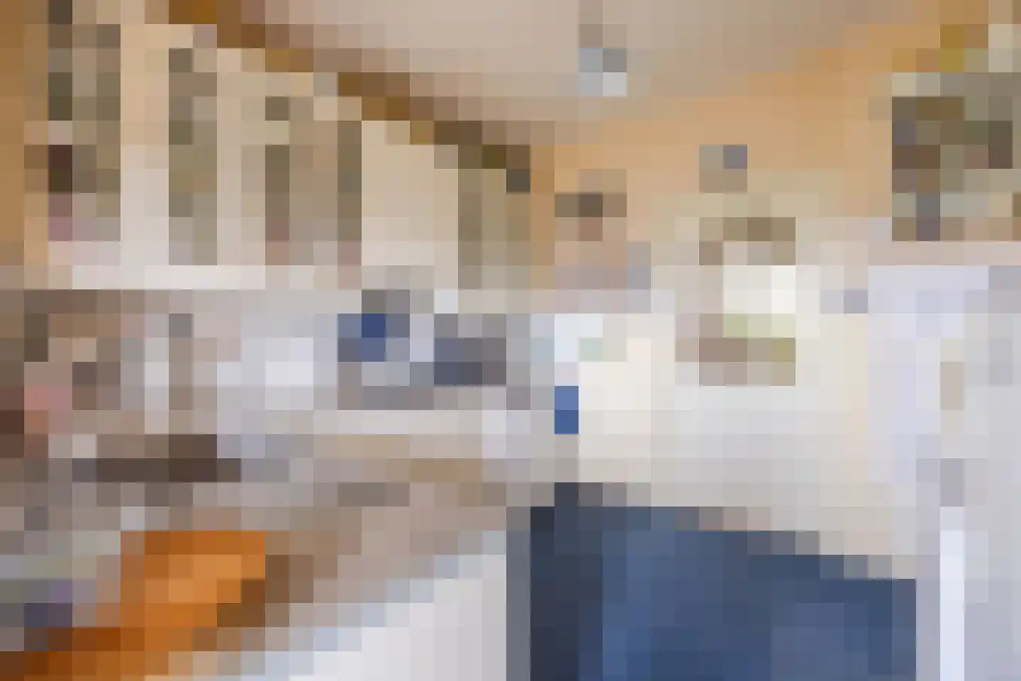 Molendijk 50 Dinteloord thumbnail 28