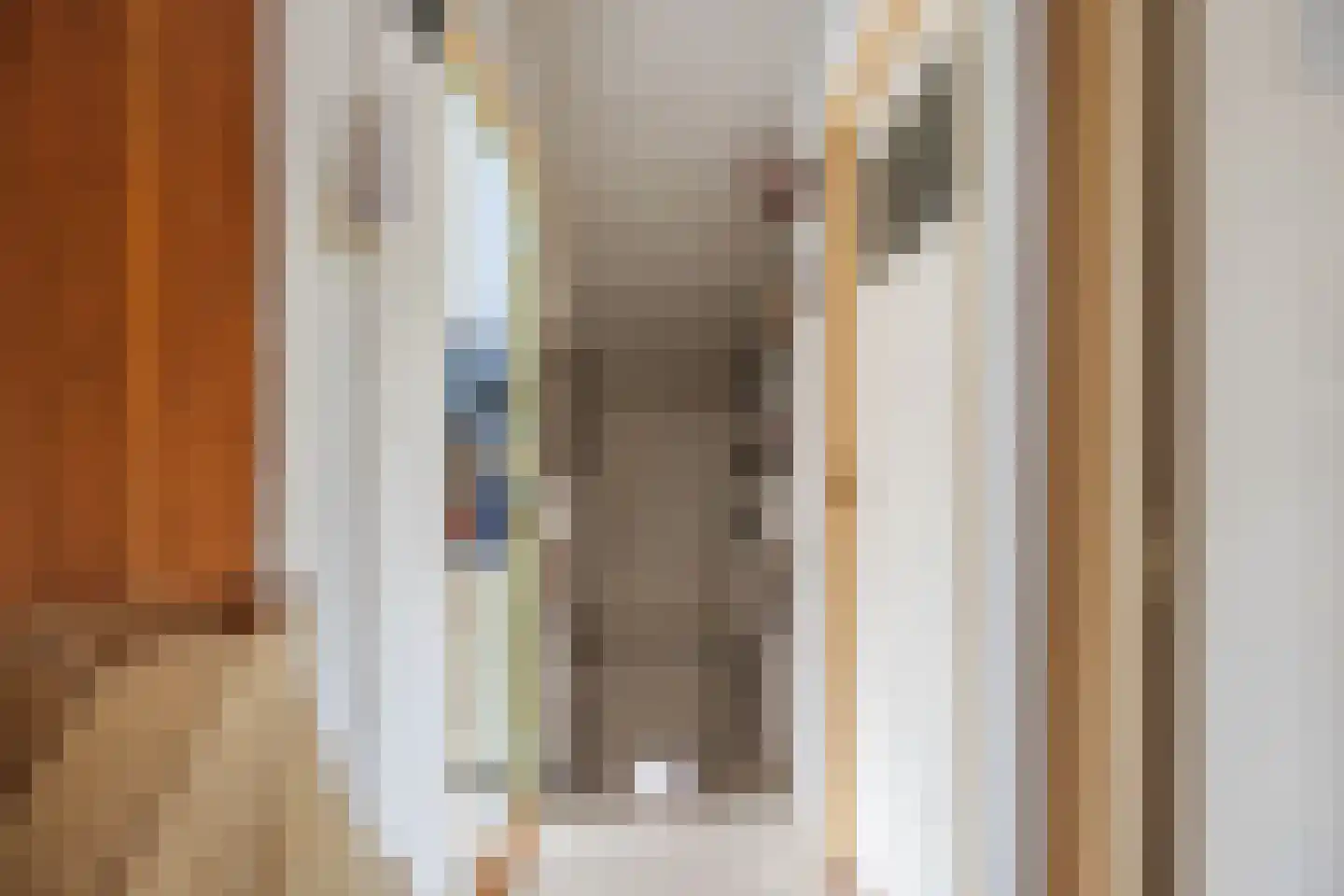 Molendijk 50 Dinteloord thumbnail 37