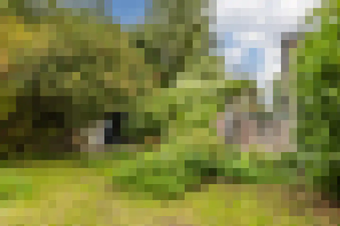 Molendijk 50 Dinteloord thumbnail 4