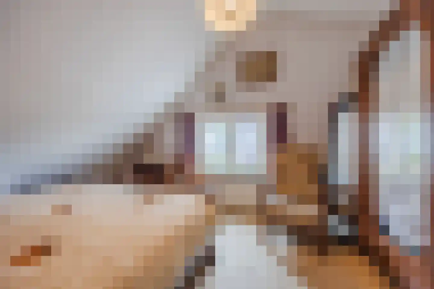 Molendijk 50 Dinteloord thumbnail 41