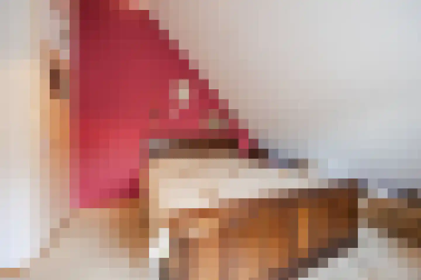 Molendijk 50 Dinteloord thumbnail 42