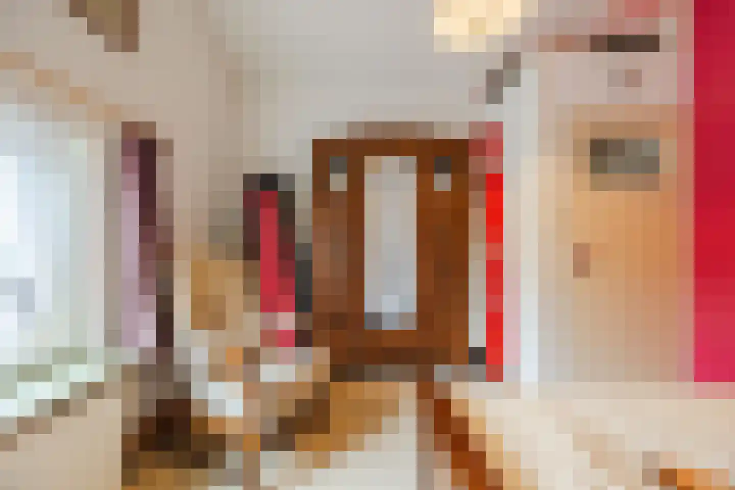 Molendijk 50 Dinteloord thumbnail 43